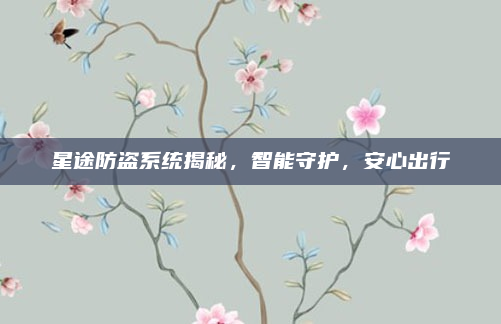 星途防盗系统揭秘，智能守护，安心出行