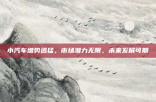 小汽车增势迅猛,市场潜力无限,未来发展可期
