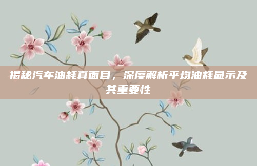 揭秘汽车油耗真面目,深度解析平均油耗显示及其重要性