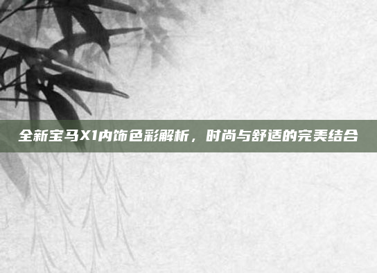 全新宝马X1内饰色彩解析，时尚与舒适的完美结合