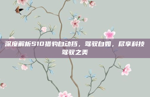 深度解析S10猎豹自动挡,驾驭自如,尽享科技驾驭之美