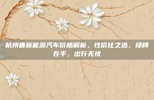 杭州唐新能源汽车价格解析,性价比之选,绿牌在手,出行无忧
