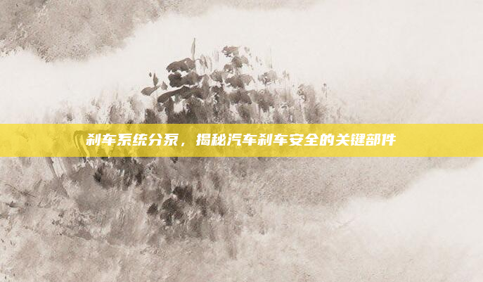 刹车系统分泵,揭秘汽车刹车安全的关键部件