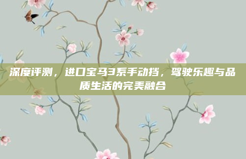 深度评测,进口宝马3系手动挡,驾驶乐趣与品质生活的完美融合