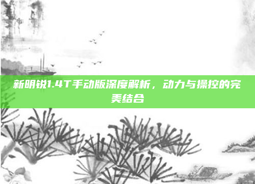 新明锐1.4T手动版深度解析,动力与操控的完美结合