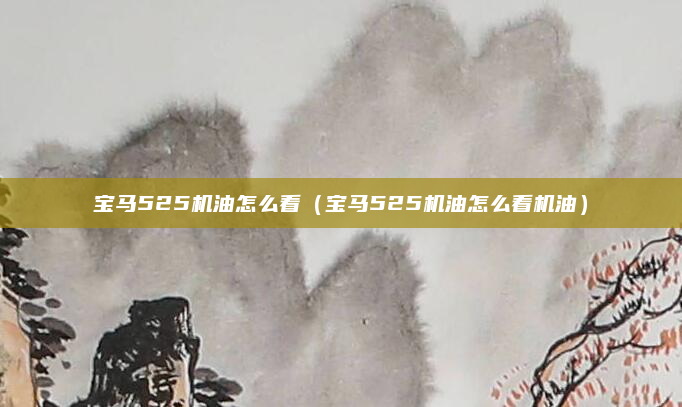 宝马525机油怎么看（宝马525机油怎么看机油）