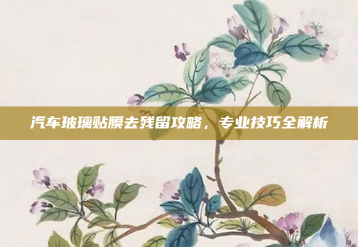 汽车玻璃贴膜去残留攻略，专业技巧全解析