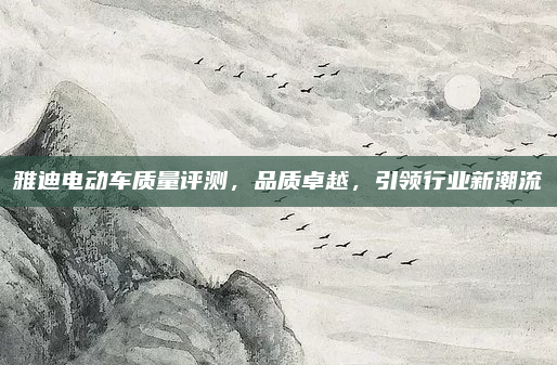 雅迪电动车质量评测,品质卓越,引领行业新潮流