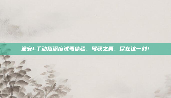 途安L手动挡深度试驾体验,驾驭之美,尽在这一刻!