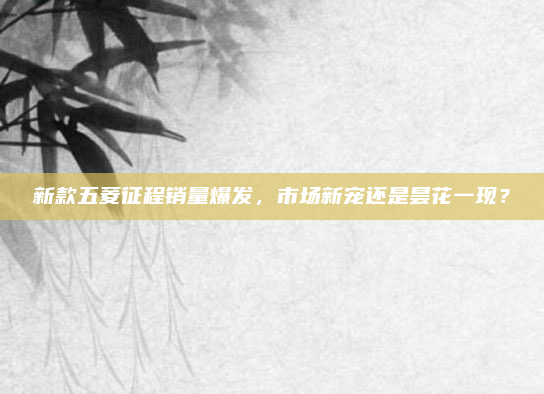 新款五菱征程销量爆发,市场新宠还是昙花一现?