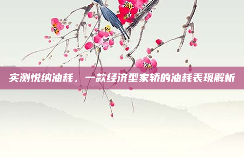 实测悦纳油耗,一款经济型家轿的油耗表现解析