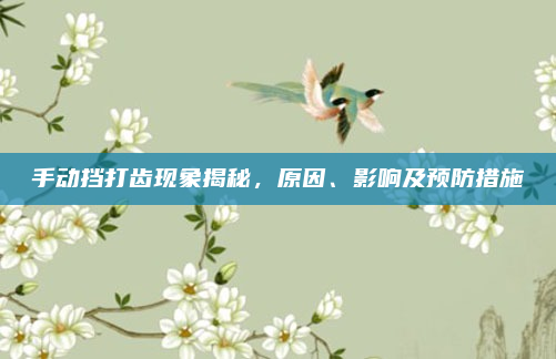 手动挡打齿现象揭秘，原因、影响及预防措施