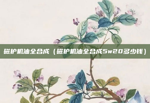 磁护机油全合成(磁护机油全合成5w20多少钱)