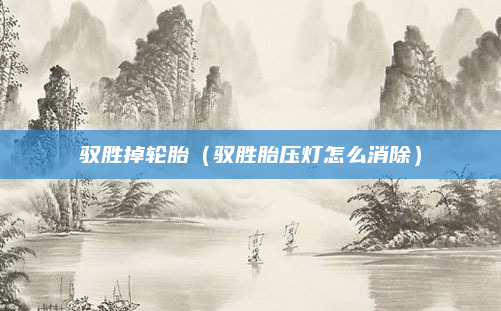 驭胜掉轮胎（驭胜胎压灯怎么消除）