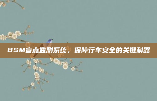 BSM盲点监测系统，保障行车安全的关键利器