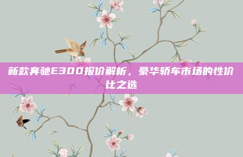 新款奔驰E300报价解析,豪华轿车市场的性价比之选