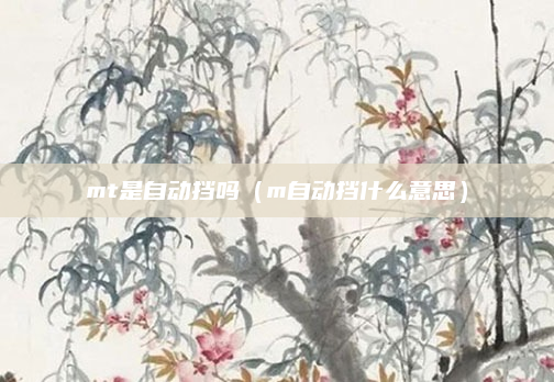 mt是自动挡吗（m自动挡什么意思）