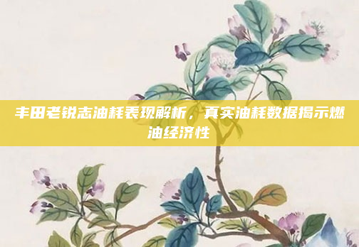 丰田老锐志油耗表现解析,真实油耗数据揭示燃油经济性