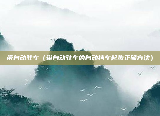 带自动驻车（带自动驻车的自动挡车起步正确方法）
