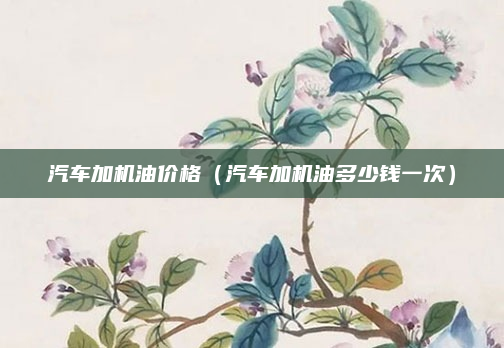 汽车加机油价格（汽车加机油多少钱一次）