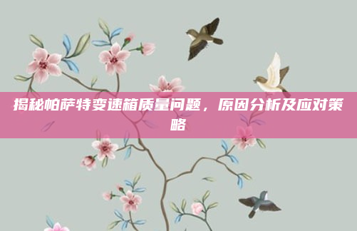 揭秘帕萨特变速箱质量问题,原因分析及应对策略