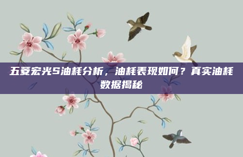 五菱宏光S油耗分析,油耗表现如何?真实油耗数据揭秘
