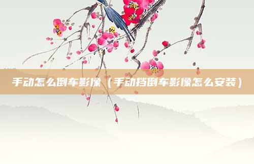 手动怎么倒车影像（手动挡倒车影像怎么安装）