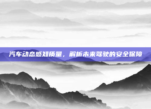 汽车动态感知质量，解析未来驾驶的安全保障