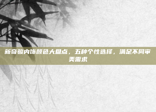 新奇骏内饰颜色大盘点,五种个性选择,满足不同审美需求