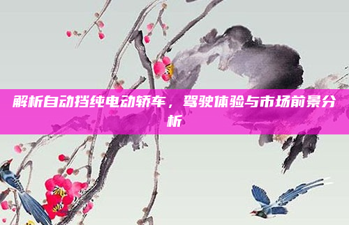 解析自动挡纯电动轿车，驾驶体验与市场前景分析