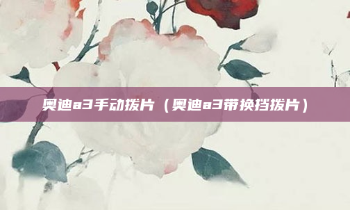 奥迪a3手动拨片（奥迪a3带换挡拨片）