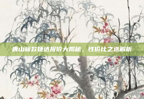 唐山新款捷达报价大揭秘，性价比之选解析