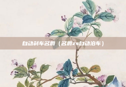 自动刹车名爵（名爵zs自动泊车）
