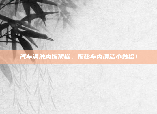 汽车清洗内饰顶棚,揭秘车内清洁小妙招!