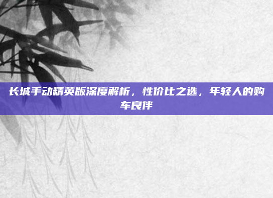 长城手动精英版深度解析，性价比之选，年轻人的购车良伴