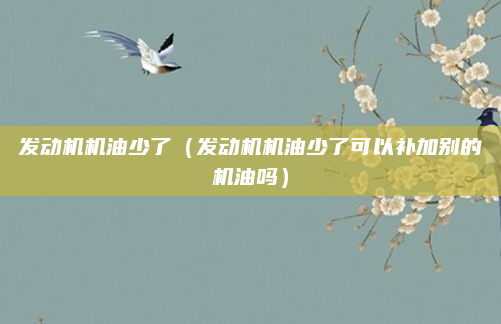 发动机机油少了（发动机机油少了可以补加别的机油吗）