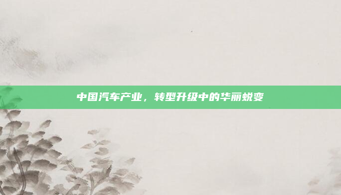 中国汽车产业，转型升级中的华丽蜕变