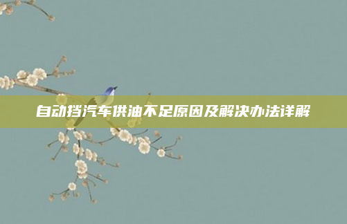 自动挡汽车供油不足原因及解决办法详解