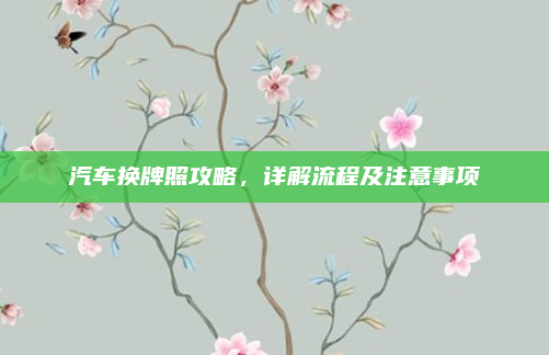 汽车换牌照攻略，详解流程及注意事项