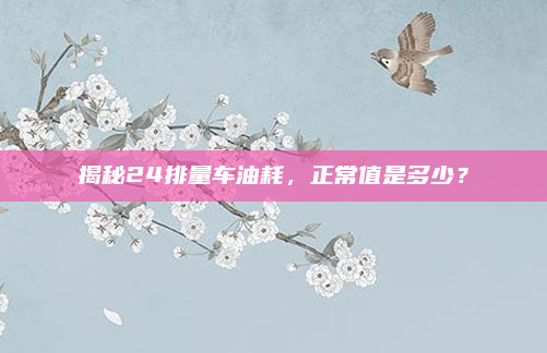 揭秘24排量车油耗，正常值是多少？