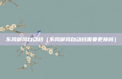 东风御风自动档（东风御风自动档需要更换吗）