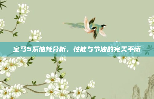 宝马5系油耗分析，性能与节油的完美平衡