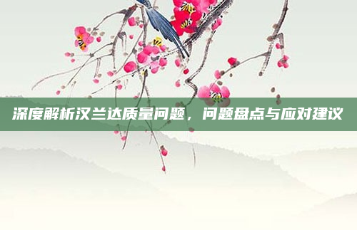 深度解析汉兰达质量问题,问题盘点与应对建议