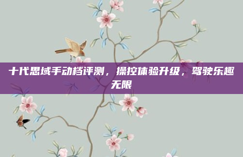 十代思域手动档评测,操控体验升级,驾驶乐趣无限