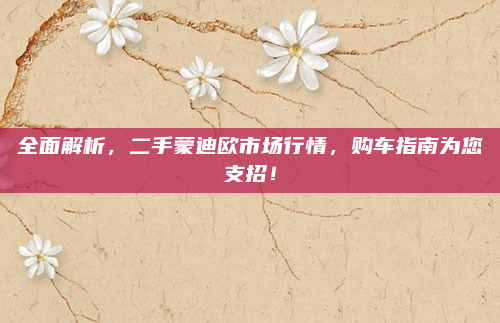 全面解析,二手蒙迪欧市场行情,购车指南为您支招!