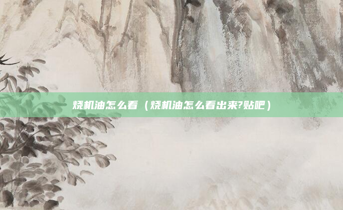 烧机油怎么看（烧机油怎么看出来?贴吧）