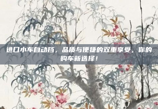 进口小车自动挡，品质与便捷的双重享受，你的购车新选择！