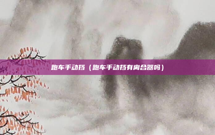 跑车手动挡（跑车手动挡有离合器吗）