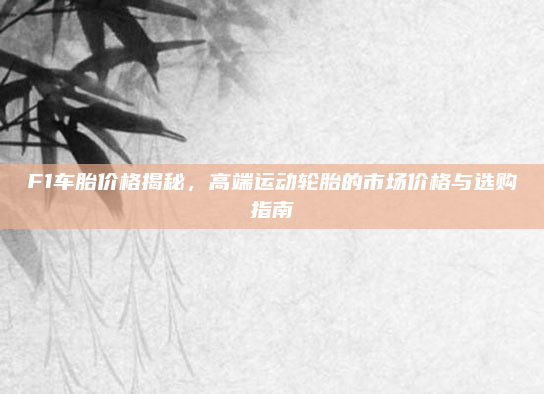 F1车胎价格揭秘，高端运动轮胎的市场价格与选购指南