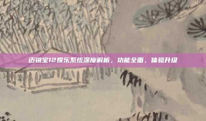 迈锐宝12娱乐系统深度解析，功能全面，体验升级